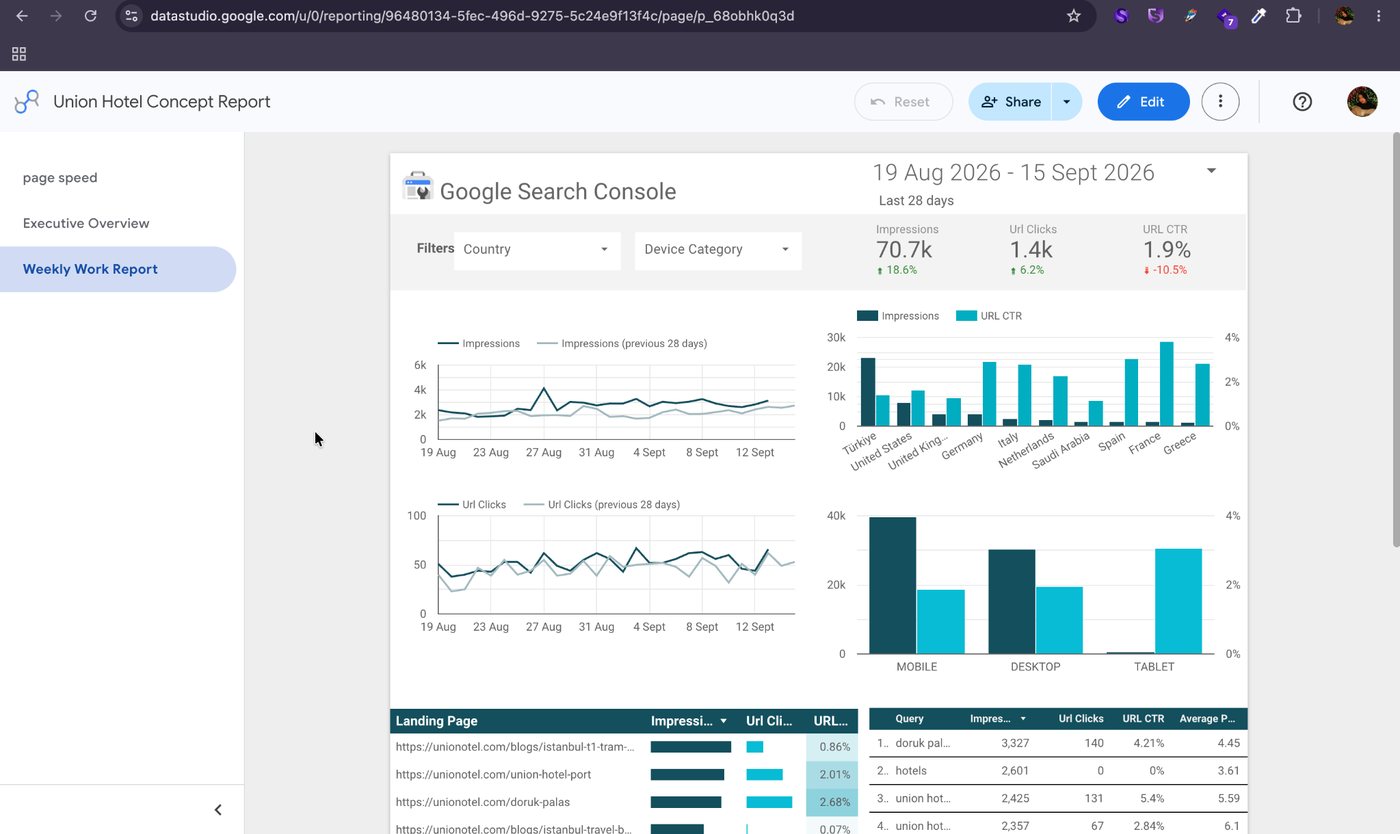 Looker Search Report